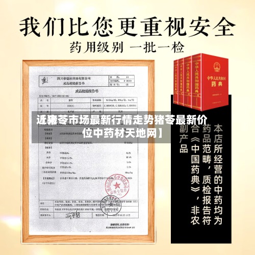 近来【猪苓市场最新行情走势猪苓最新价位中药材天地网】-第3张图片