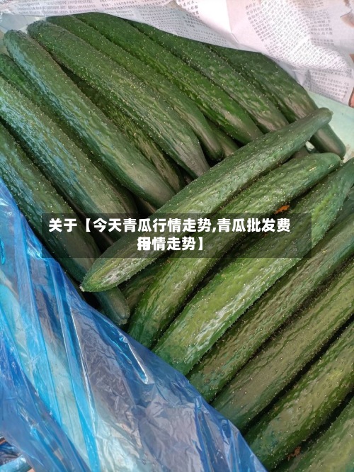 关于【今天青瓜行情走势,青瓜批发费用行情走势】-第2张图片