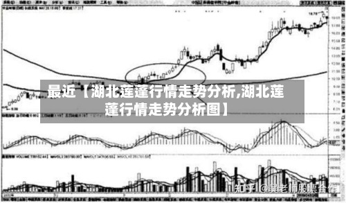 最近【湖北莲蓬行情走势分析,湖北莲蓬行情走势分析图】