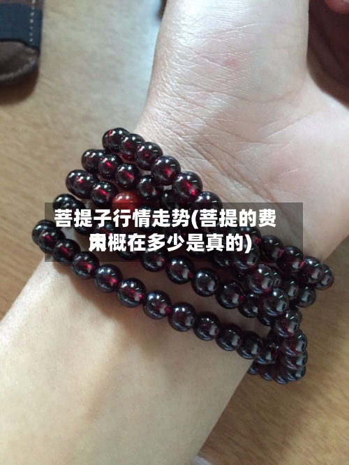 菩提子行情走势(菩提的费用大概在多少是真的)