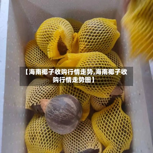 【海南椰子收购行情走势,海南椰子收购行情走势图】