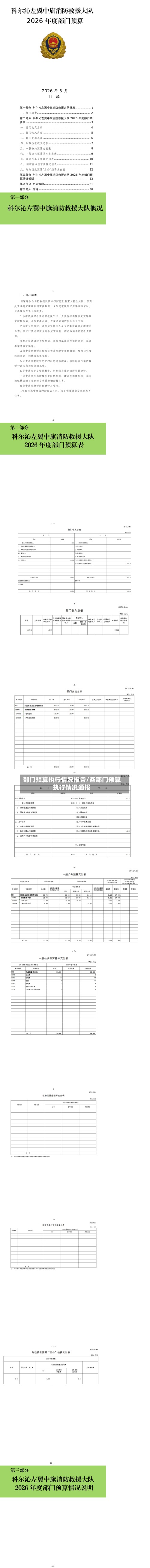 部门预算执行情况报告/各部门预算执行情况通报