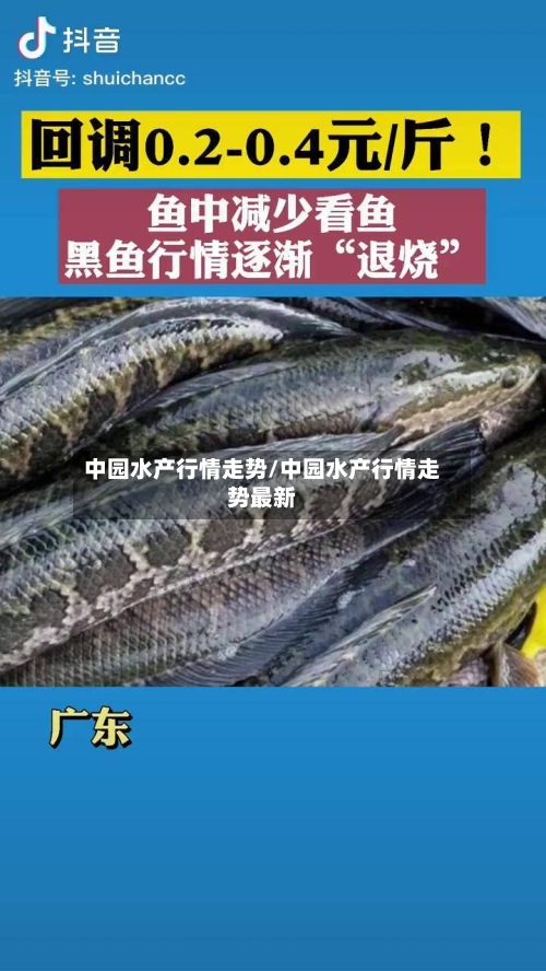 中园水产行情走势/中园水产行情走势最新-第3张图片