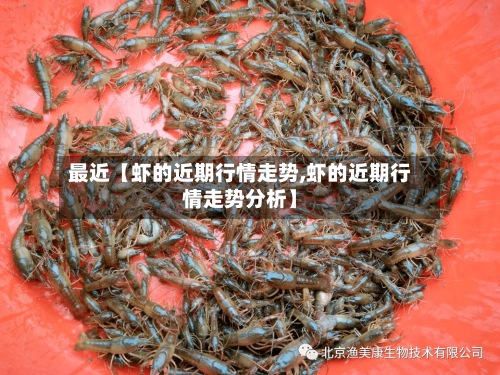最近【虾的近期行情走势,虾的近期行情走势分析】