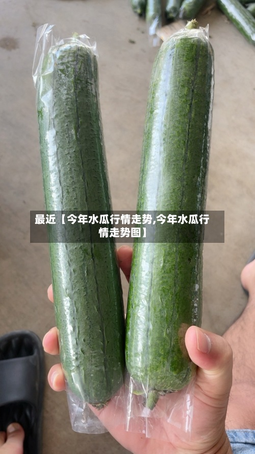 最近【今年水瓜行情走势,今年水瓜行情走势图】-第2张图片