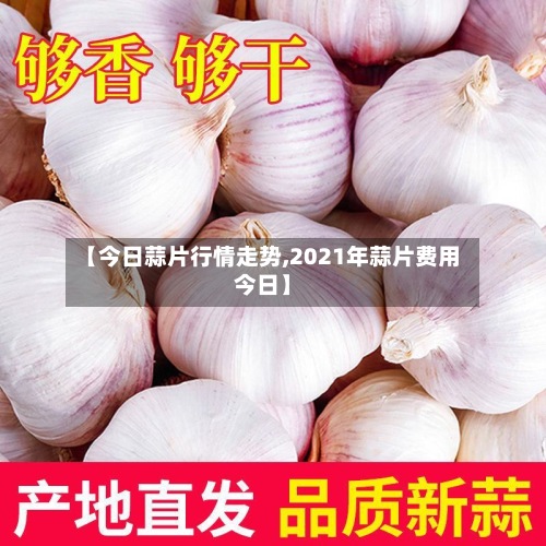 【今日蒜片行情走势,2021年蒜片费用今日】