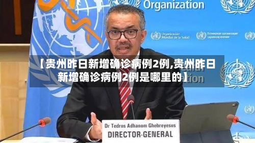 【贵州昨日新增确诊病例2例,贵州昨日新增确诊病例2例是哪里的】-第3张图片