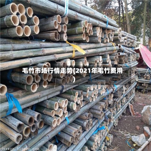 毛竹市场行情走势(2021年毛竹费用)-第2张图片
