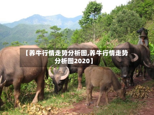 【养牛行情走势分析图,养牛行情走势分析图2020】-第2张图片