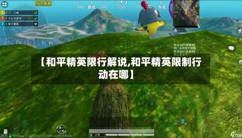 【和平精英限行解说,和平精英限制行动在哪】