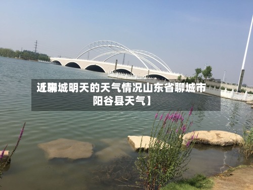 近来【聊城明天的天气情况山东省聊城市阳谷县天气】-第2张图片