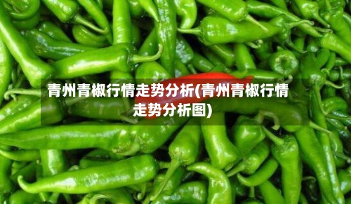 青州青椒行情走势分析(青州青椒行情走势分析图)