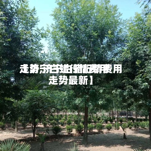 【济宁白蜡行情费用走势,济宁白蜡行情费用走势最新】-第3张图片