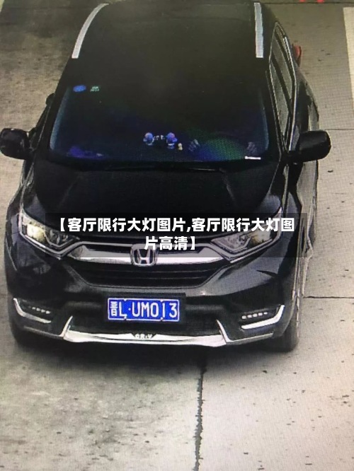 【客厅限行大灯图片,客厅限行大灯图片高清】