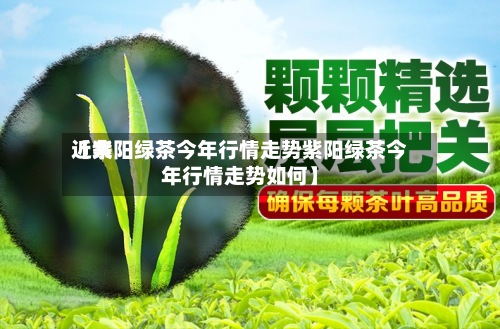 近来【紫阳绿茶今年行情走势紫阳绿茶今年行情走势如何】-第2张图片
