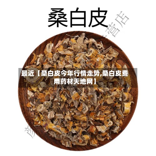 最近【桑白皮今年行情走势,桑白皮费用中药材天地网】-第2张图片