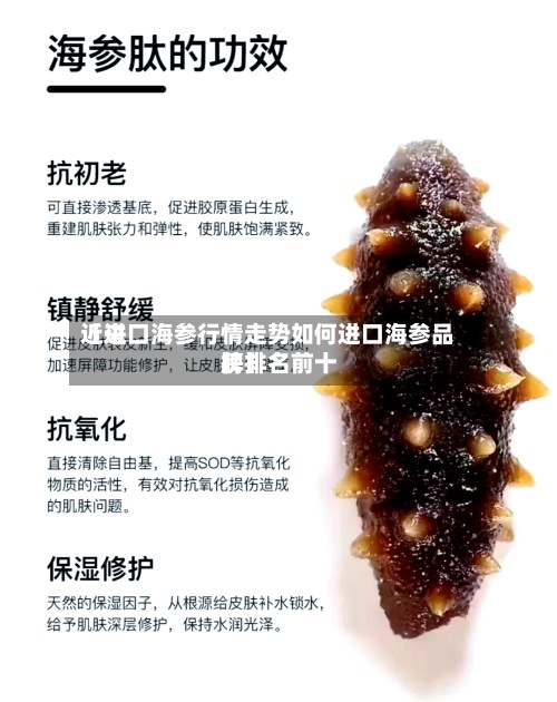 近来【进口海参行情走势如何进口海参品牌排名前十榜】-第2张图片