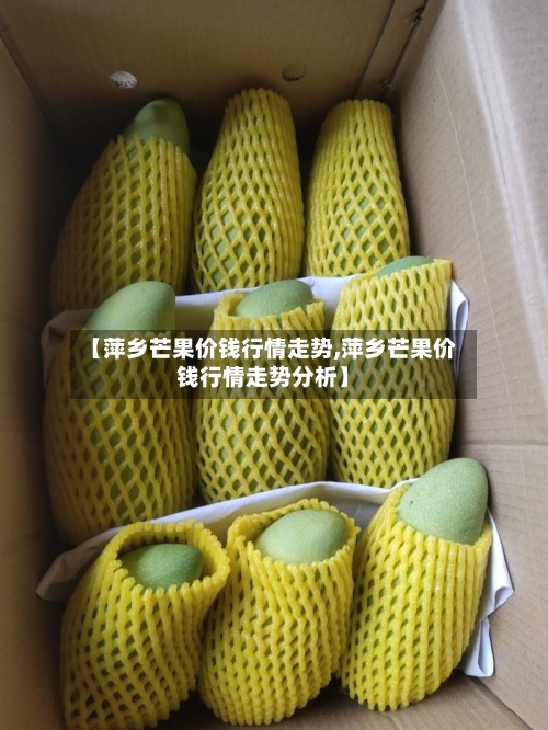 【萍乡芒果价钱行情走势,萍乡芒果价钱行情走势分析】-第3张图片