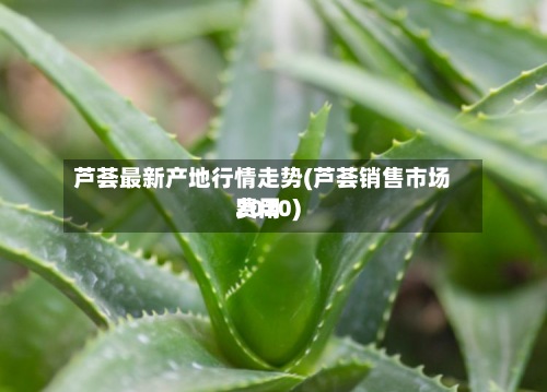 芦荟最新产地行情走势(芦荟销售市场费用
2020)