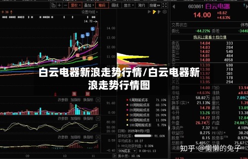 白云电器新浪走势行情/白云电器新浪走势行情图