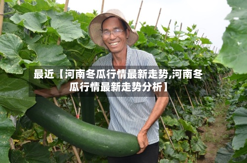最近【河南冬瓜行情最新走势,河南冬瓜行情最新走势分析】-第3张图片