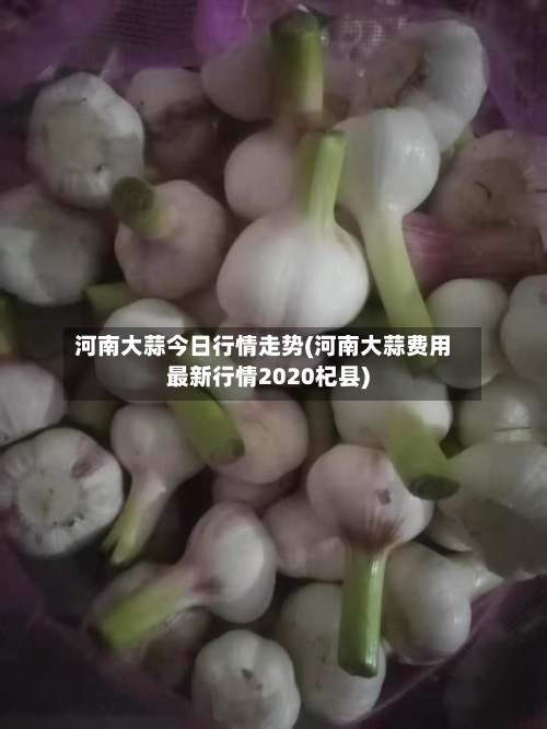 河南大蒜今日行情走势(河南大蒜费用
最新行情2020杞县)-第2张图片