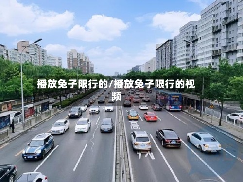 播放兔子限行的/播放兔子限行的视频-第2张图片