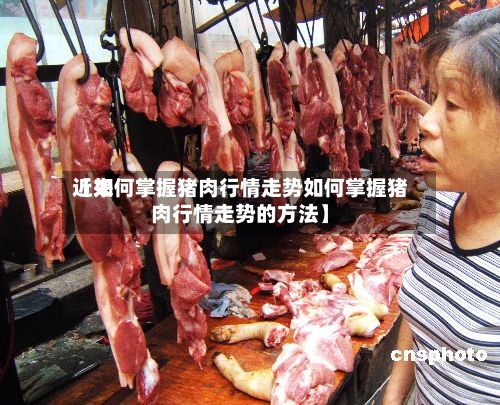 近来
【如何掌握猪肉行情走势如何掌握猪肉行情走势的方法】