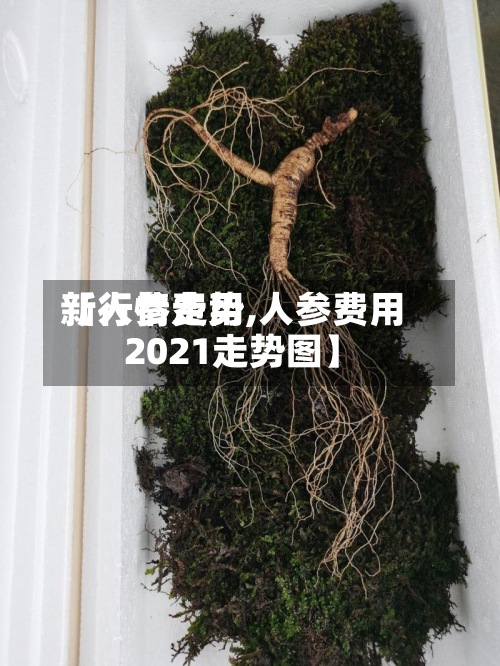 【人参费用
新行情走势,人参费用
2021走势图】