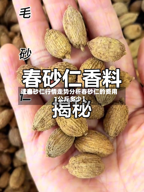 近来
【春砂仁行情走势分析春砂仁的费用
1公斤多少】-第3张图片