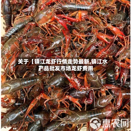 关于【镇江龙虾行情走势最新,镇江水产品批发市场龙虾费用
】