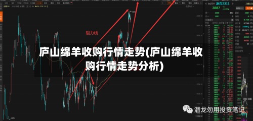 庐山绵羊收购行情走势(庐山绵羊收购行情走势分析)