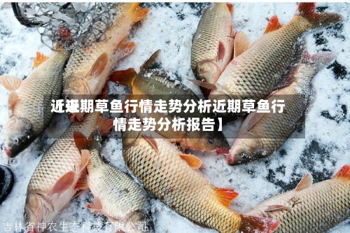 近来
【近期草鱼行情走势分析近期草鱼行情走势分析报告】