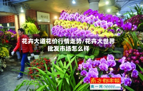 花卉大道花价行情走势/花卉大世界批发市场怎么样-第3张图片