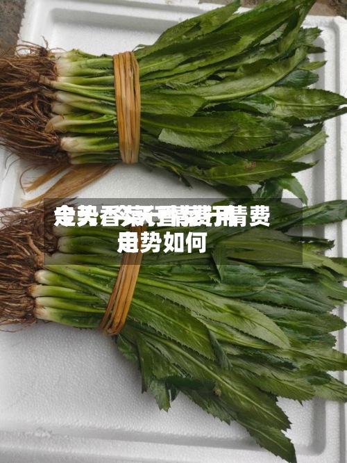 今天香菜行情费用走势/今天香菜行情费用走势如何-第2张图片