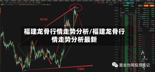 福建龙骨行情走势分析/福建龙骨行情走势分析最新