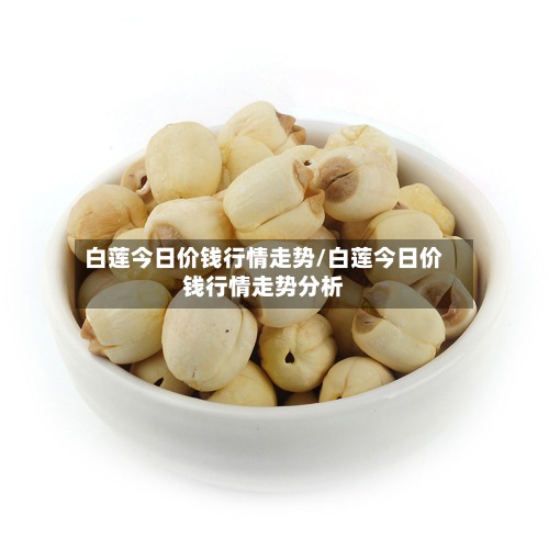白莲今日价钱行情走势/白莲今日价钱行情走势分析-第2张图片