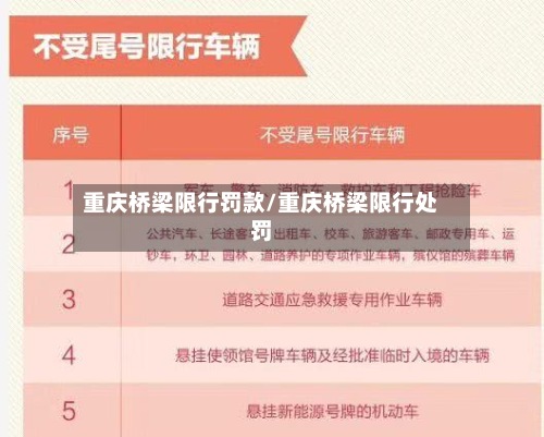 重庆桥梁限行罚款/重庆桥梁限行处罚-第3张图片