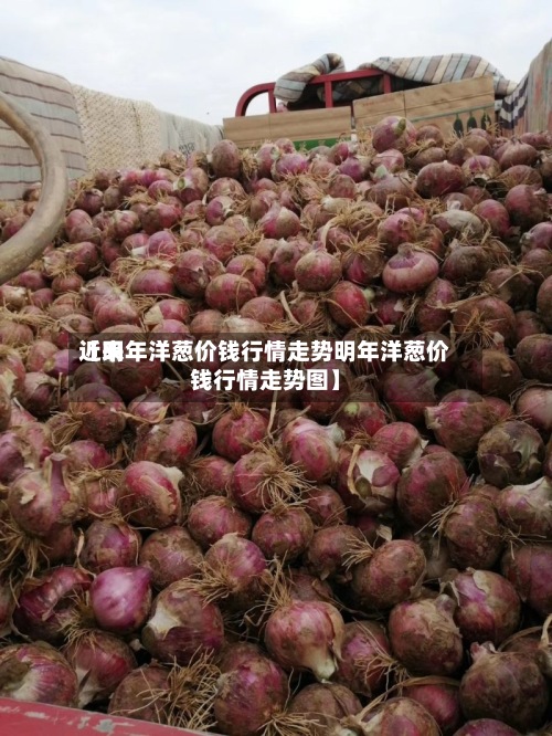 近来【明年洋葱价钱行情走势明年洋葱价钱行情走势图】-第3张图片
