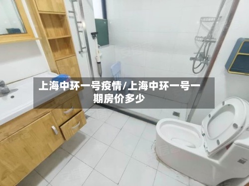 上海中环一号疫情/上海中环一号一期房价多少