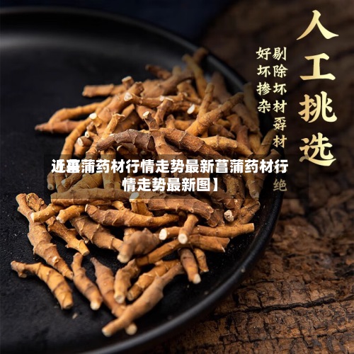 近来
【菖蒲药材行情走势最新菖蒲药材行情走势最新图】-第2张图片
