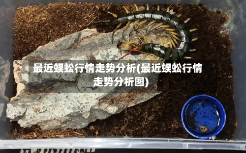 最近蜈蚣行情走势分析(最近蜈蚣行情走势分析图)