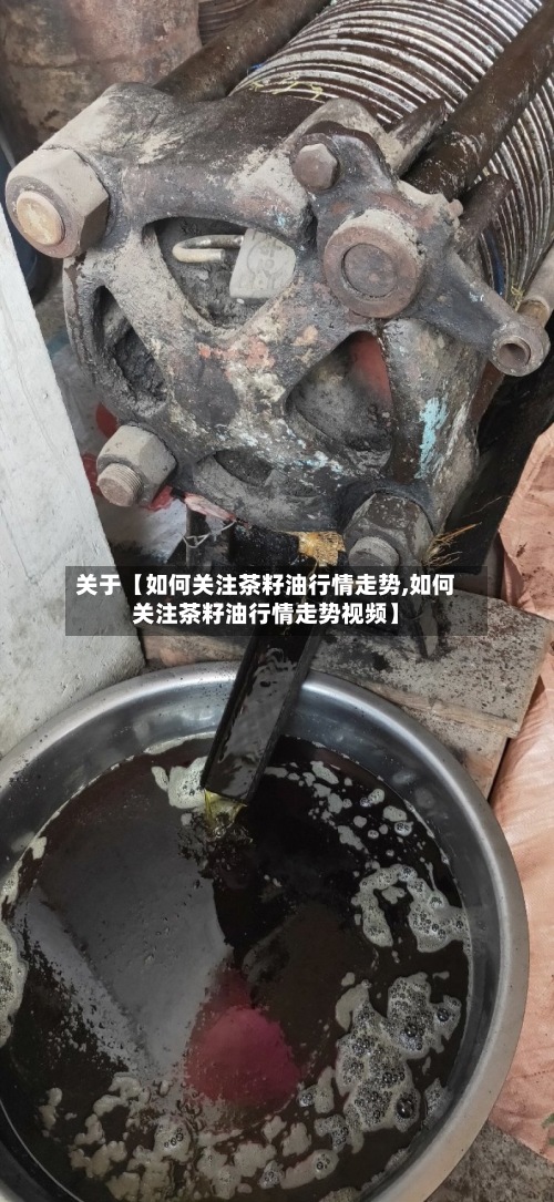 关于【如何关注茶籽油行情走势,如何关注茶籽油行情走势视频】