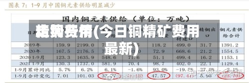 精铜费用走势行情(今日铜精矿费用最新)