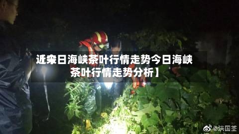 近来
【今日海峡茶叶行情走势今日海峡茶叶行情走势分析】