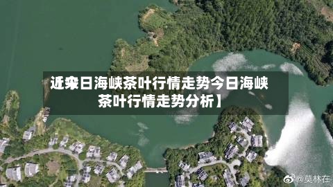 近来
【今日海峡茶叶行情走势今日海峡茶叶行情走势分析】-第2张图片