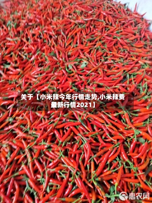 关于【小米辣今年行情走势,小米辣费用
最新行情2021】