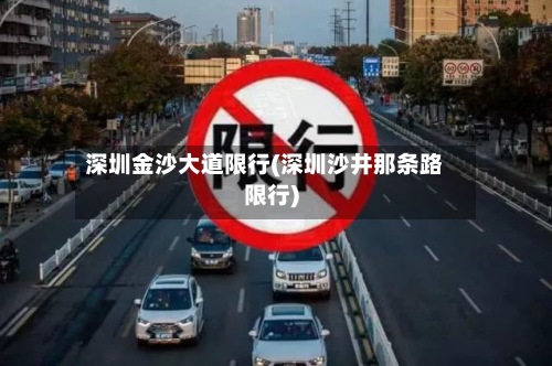 深圳金沙大道限行(深圳沙井那条路限行)-第2张图片