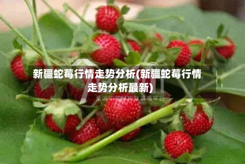 新疆蛇莓行情走势分析(新疆蛇莓行情走势分析最新)-第2张图片
