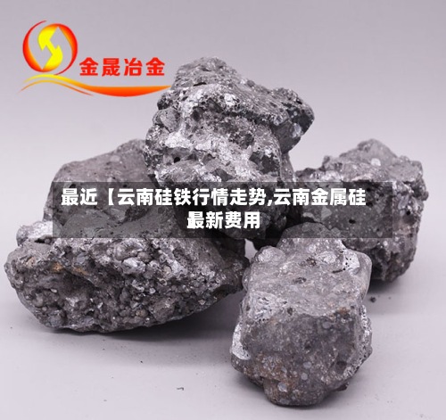 最近【云南硅铁行情走势,云南金属硅最新费用
】-第3张图片